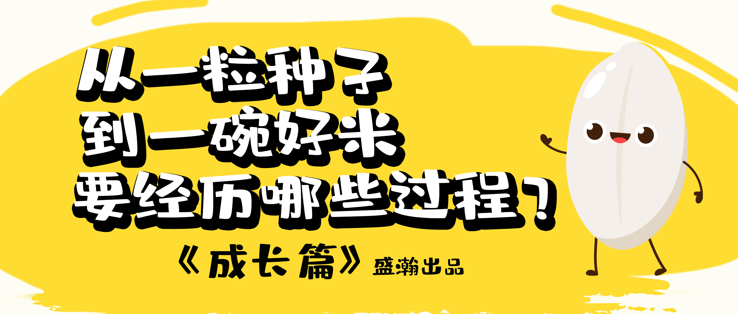 大米的一生-成長(zhǎng)篇 | 從一粒種子到一碗好米要經(jīng)歷哪些過(guò)程？